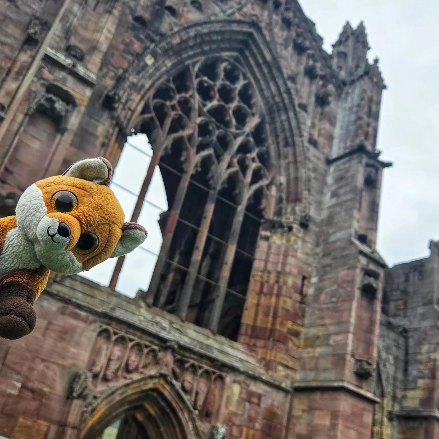 My last stop was to the ruins of Melrose Abbey!
#Scotland #boarders #scottishhistory #history #melroseabbey #ruins #robertthebruce #edinburgh #visitscotland #plushfun #plushiegram #spiritofscotland #plushiesofinstagram #holidaytravel #travelagency #