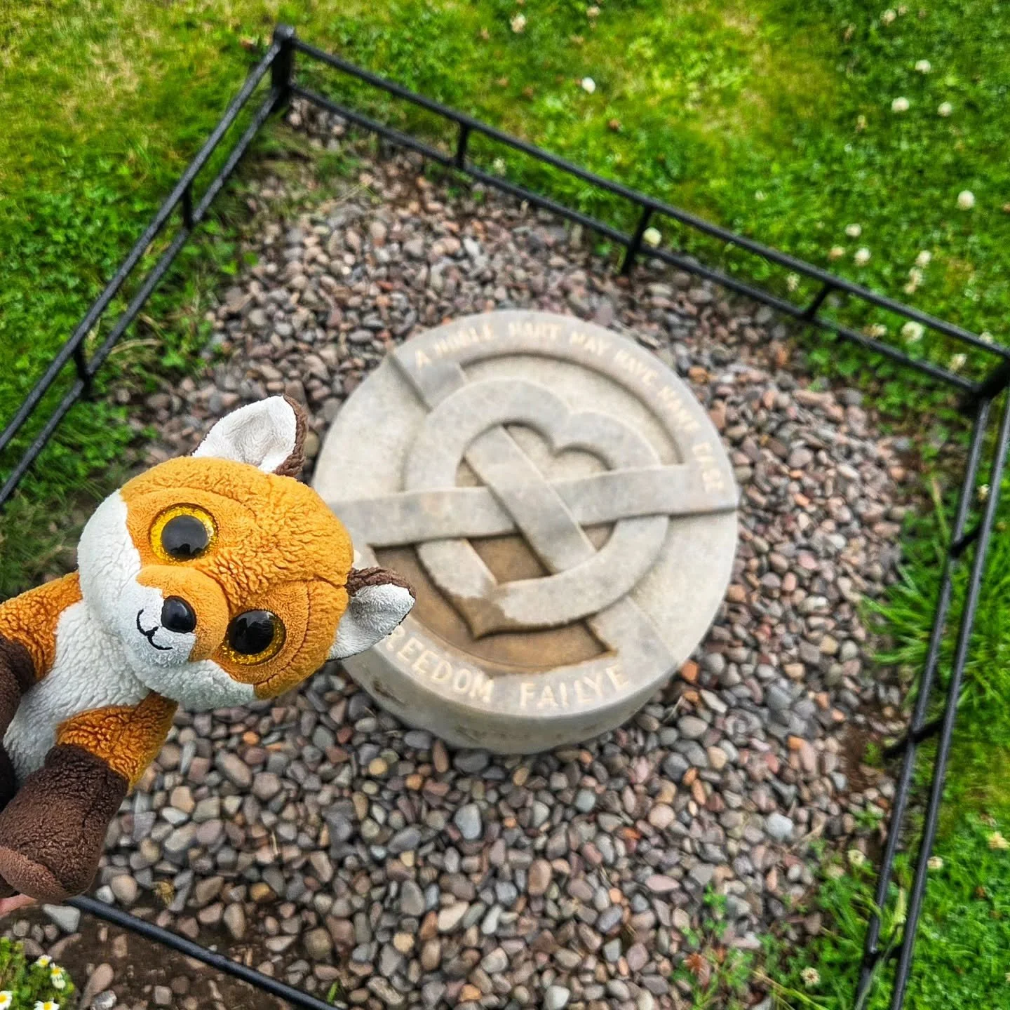 Melrose Abbey is also the burial site of Robert the Bruce's heart!
#Scotland #boarders #scottishhistory #history  #melroseabbey #ruins #robertthebruce #edinburgh #visitscotland #plushfun #plushiegram #spiritofscotland #plushiesofinstagram #holidaytr