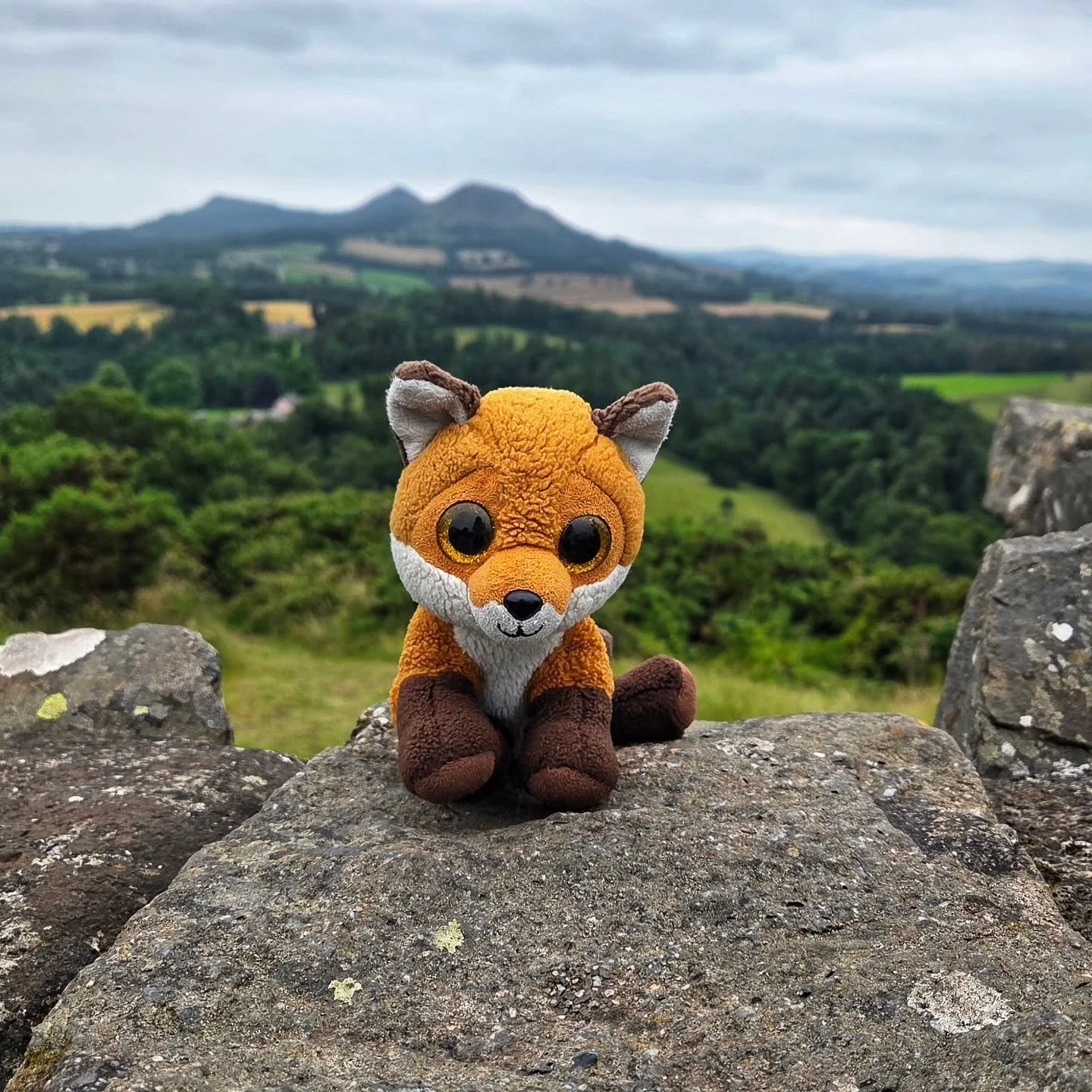 The last of the trip...got to see the stunning views of The Boarders!
#Scotland #boarders #scottishhistory #history #edinburgh #visitscotland #plushfun #plushiegram #spiritofscotland #plushiesofinstagram #holidaytravel #travelagency #travel #travela