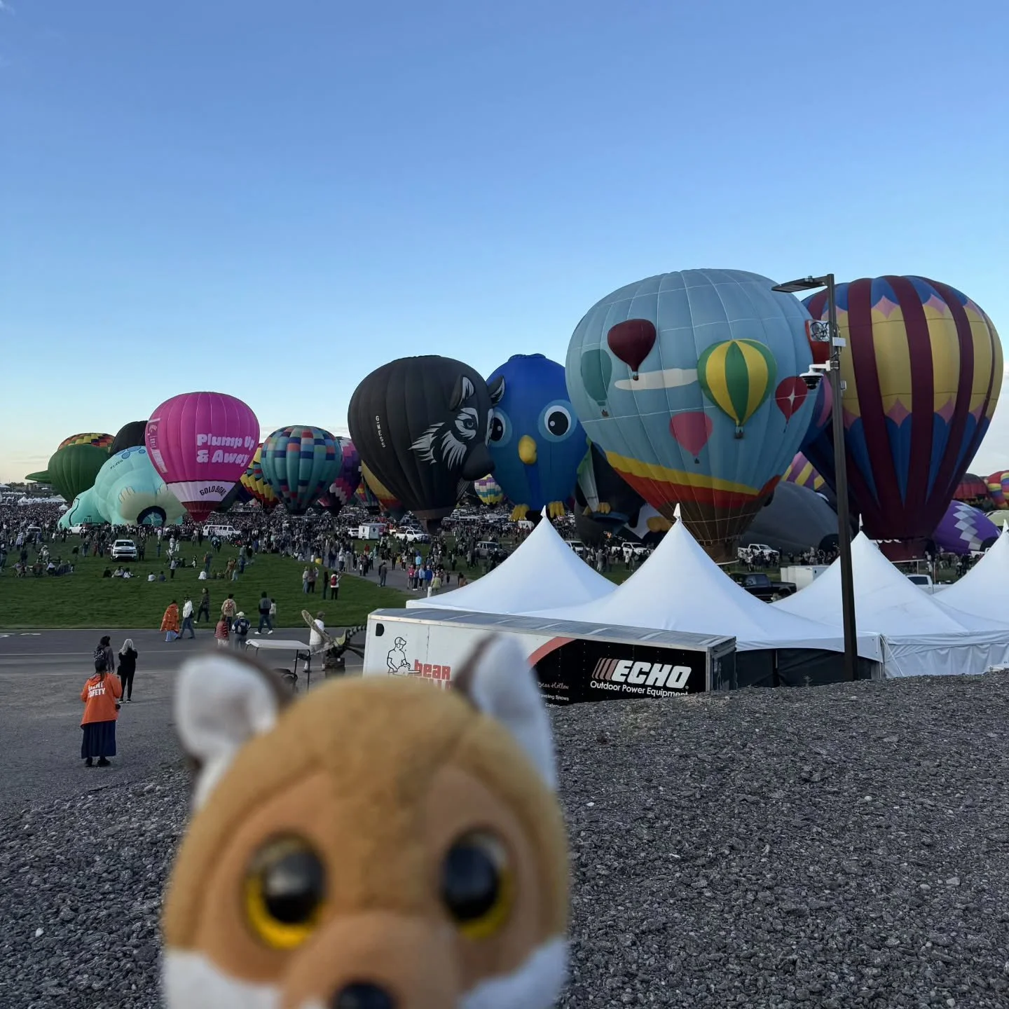Taking a quick trip with Suzanne to the International Balloon Fiesta in Albuquerque!
#internationalballoonfestival #internationalballoonfiesta #Albuquerque #newmexico #hotairballoons #visitnewmexico #adventure #plushiesofinstagram #holidaytravel #tr