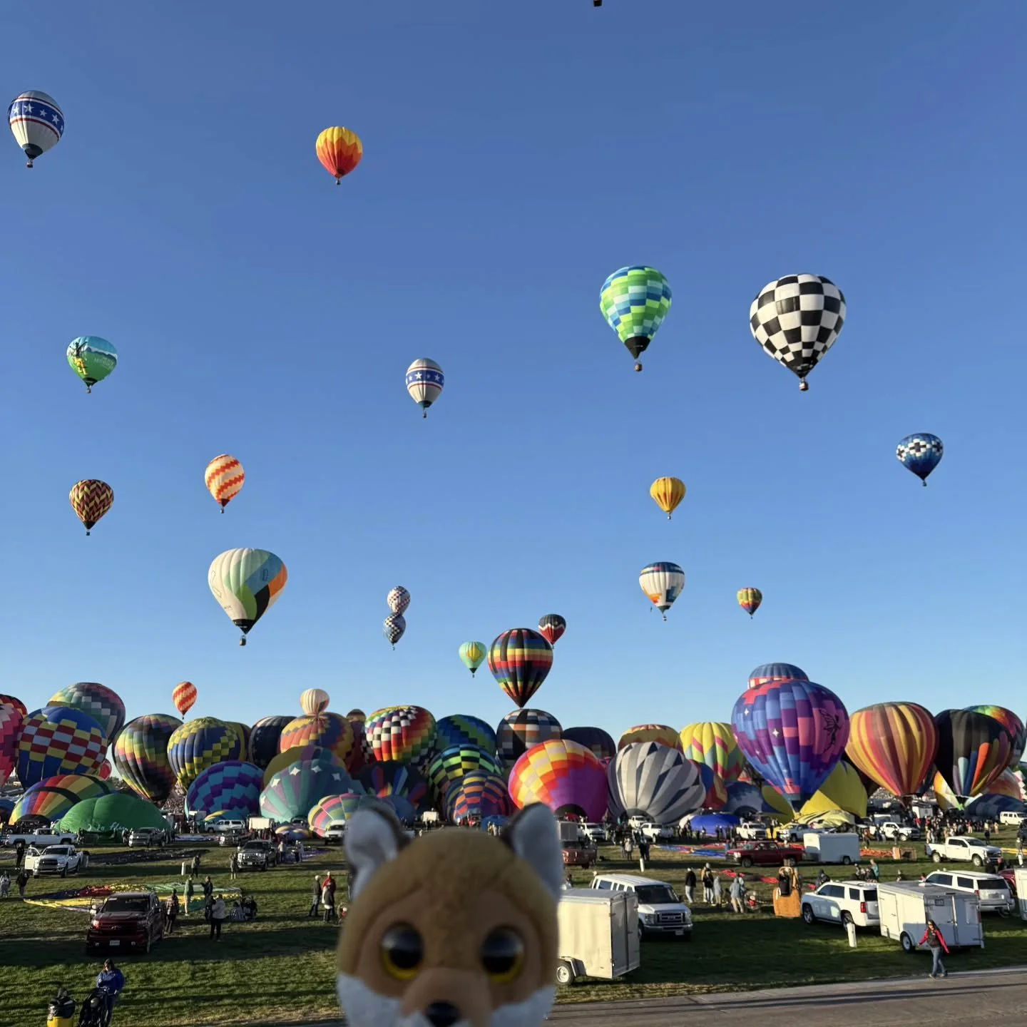 Wow! The International Balloon Fiesta tour with @globustravel was 100% worth the early mornings on a few days!
#internationalballoonfestival #internationalballoonfiesta #Albuquerque #newmexico #hotairballoons #visitnewmexico #adventure #plushiesofin