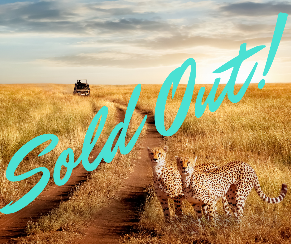 A Tanzania Safari w/ Suzanne!