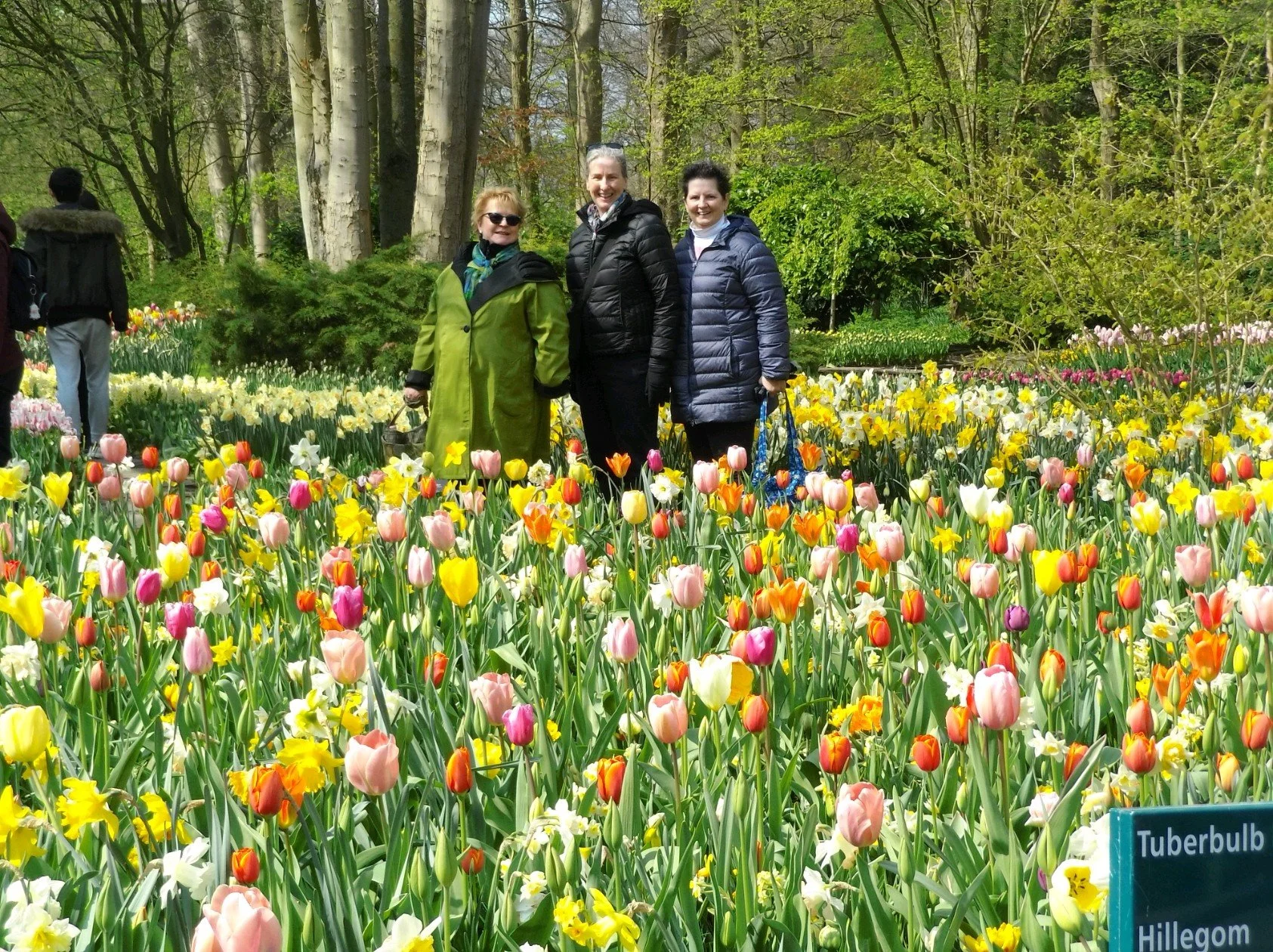 Tulip Time River Cruise w/ Suzanne!