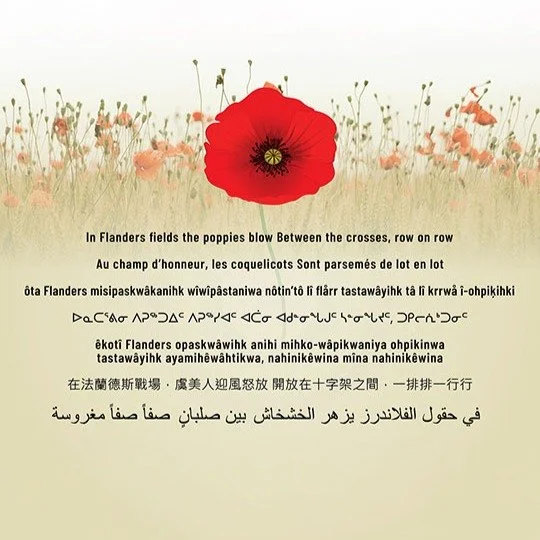 At the 11th hour across the nation, we remember.

We pause to honour those who gave their lives in pursuit of peace, and those who continue to serve with courage and compassion in places marked by suffering and division.

We thank God for their sacri