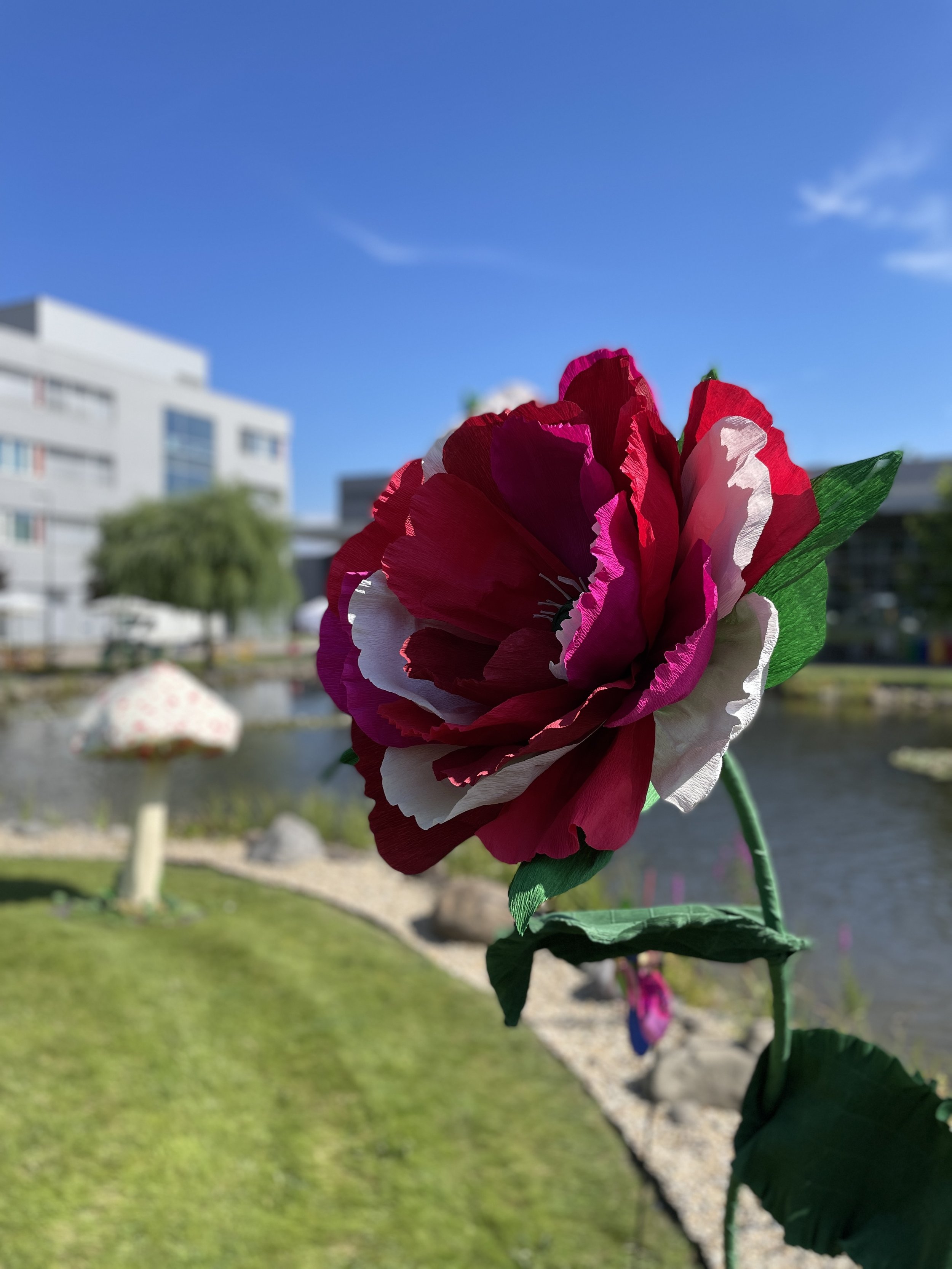 IMG_8018.jpeg