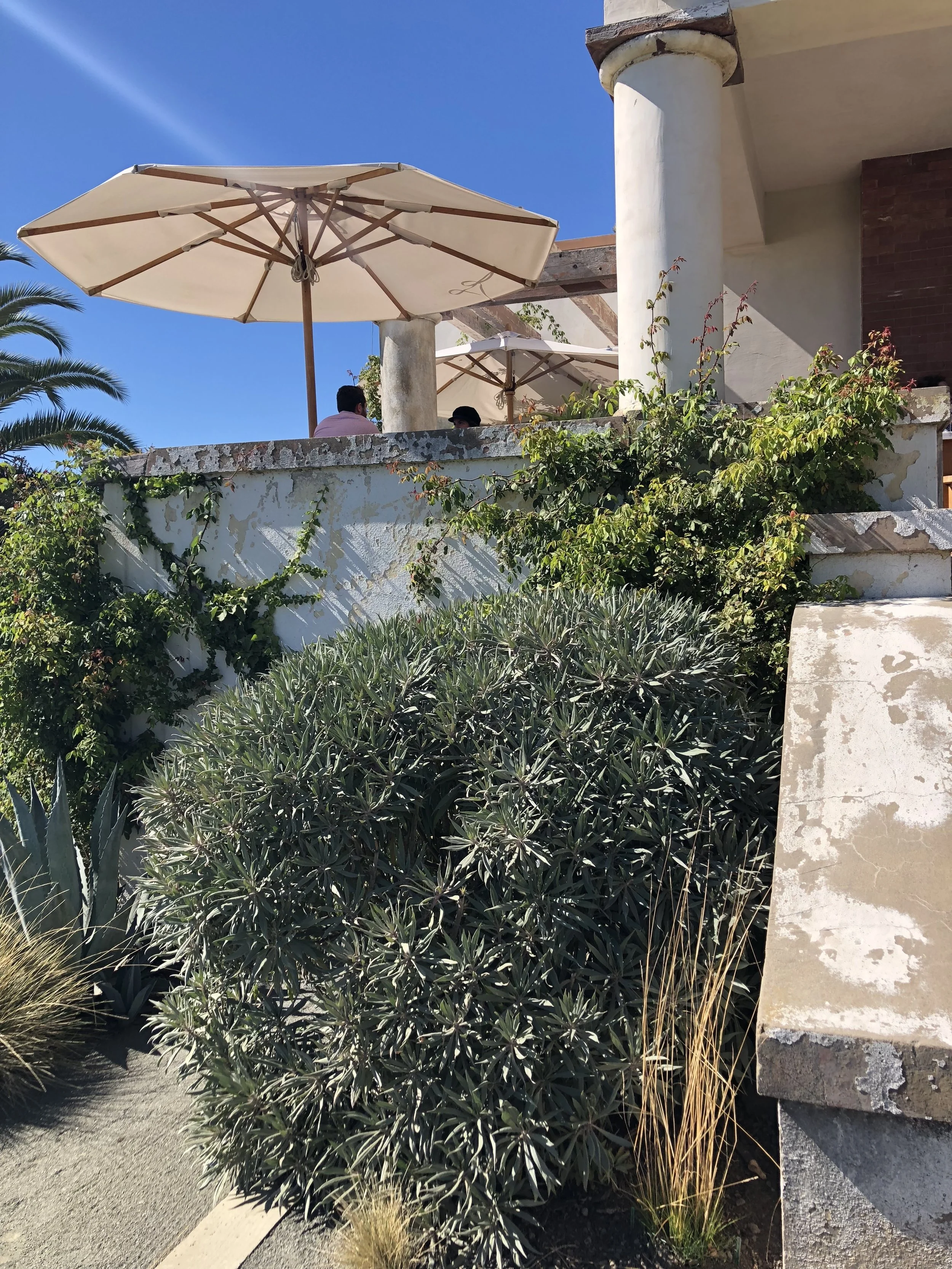 IMG_6072.jpeg