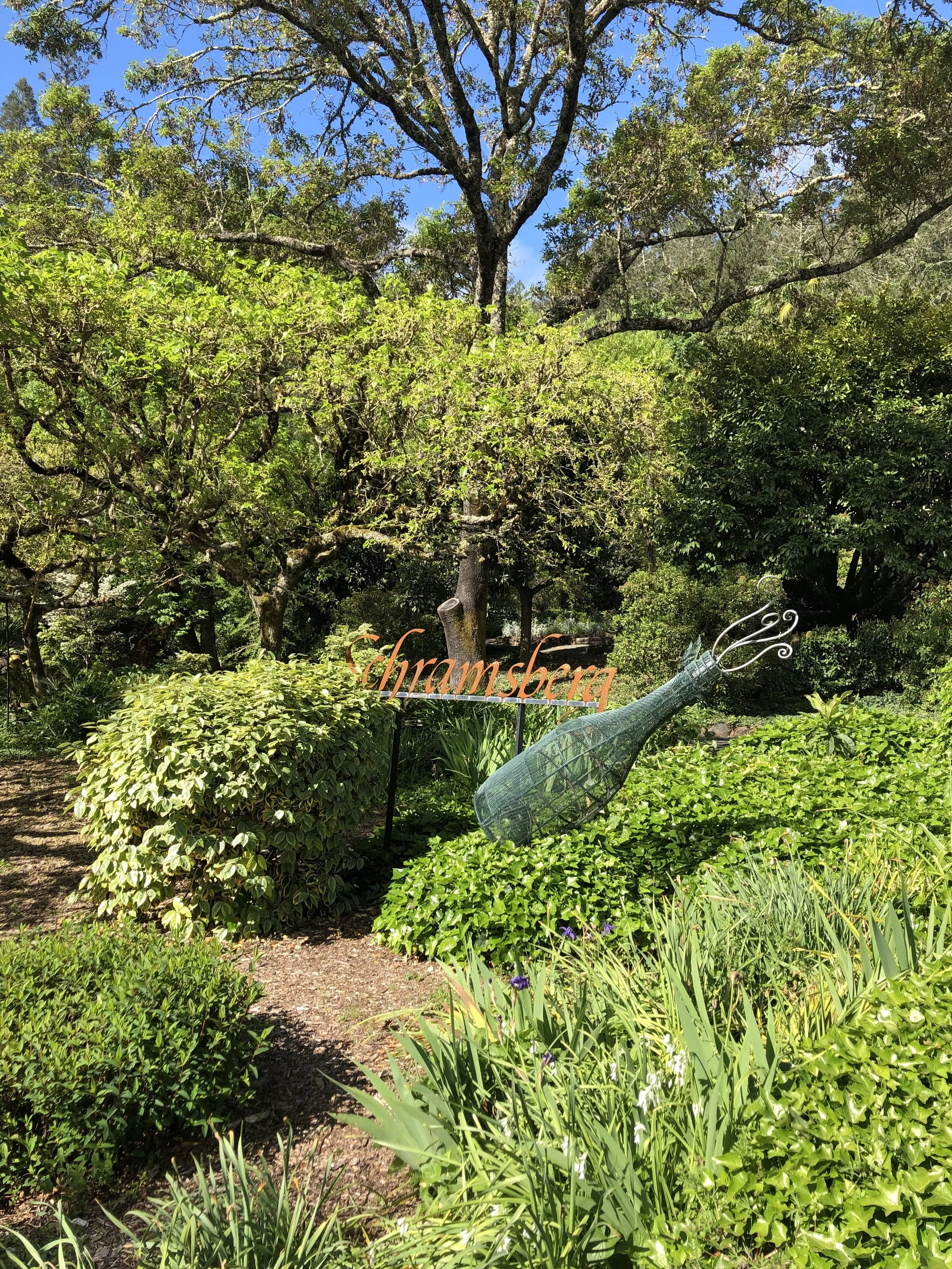 IMG_0779.jpeg