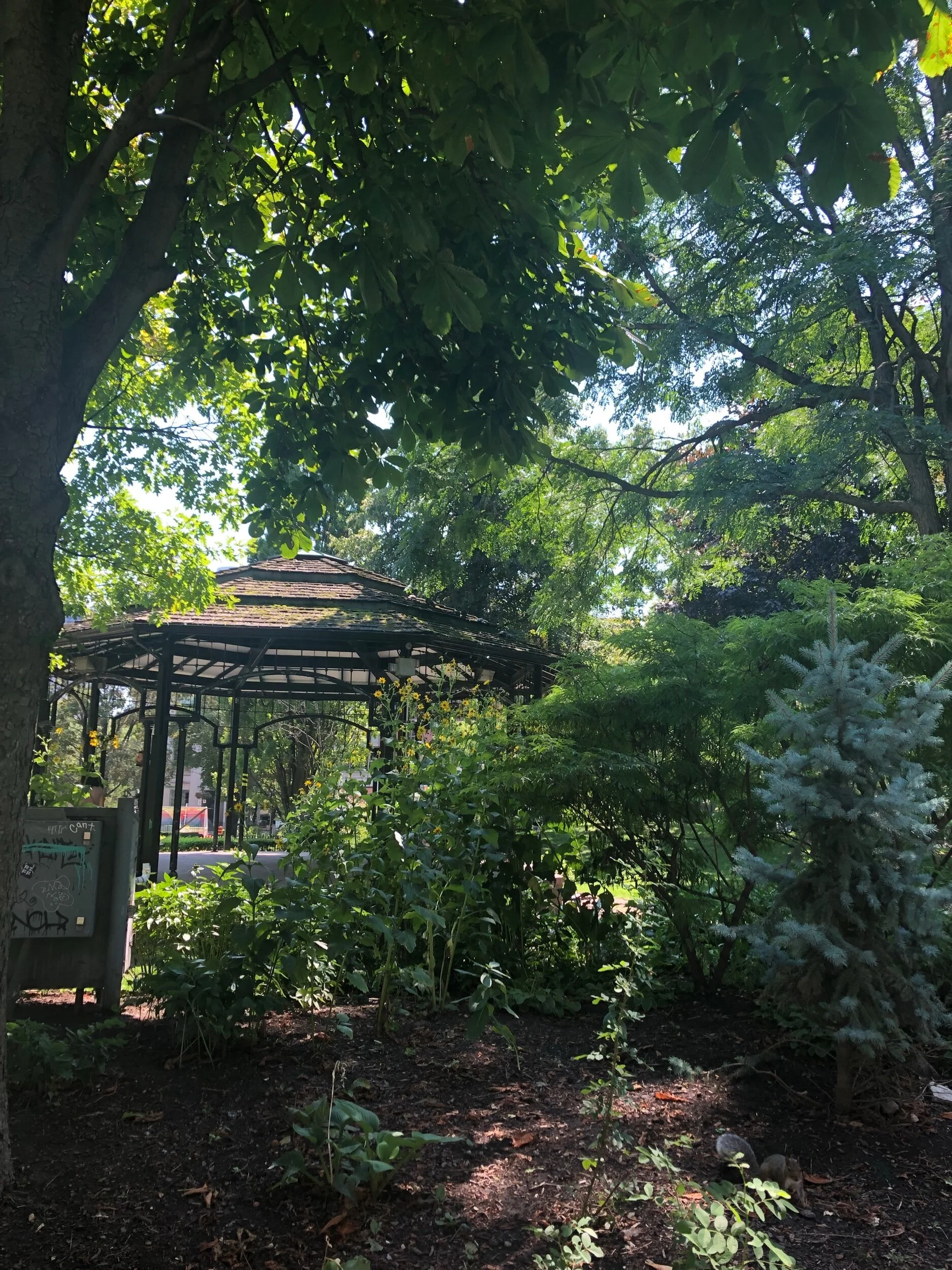 IMG_4282.jpeg