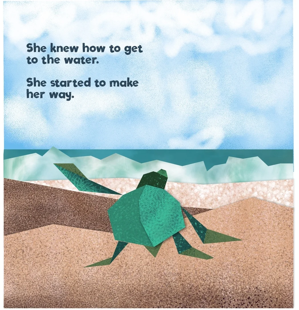 page4.jpg