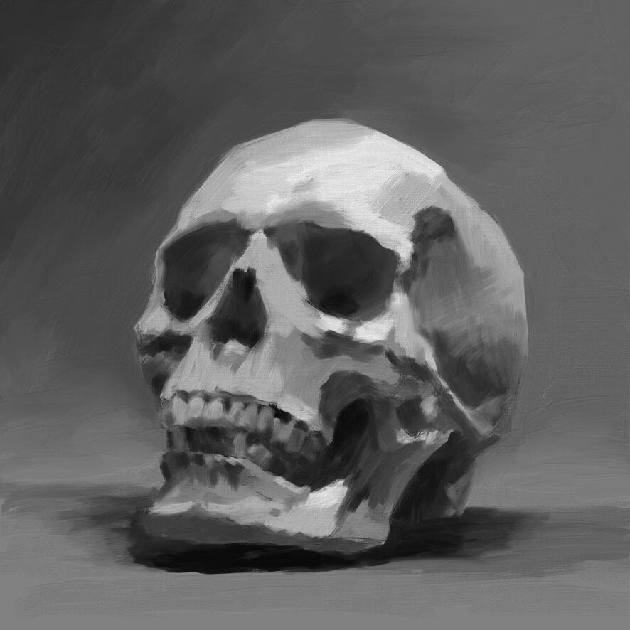 Skull Study: Ipad + Adobe Fresco