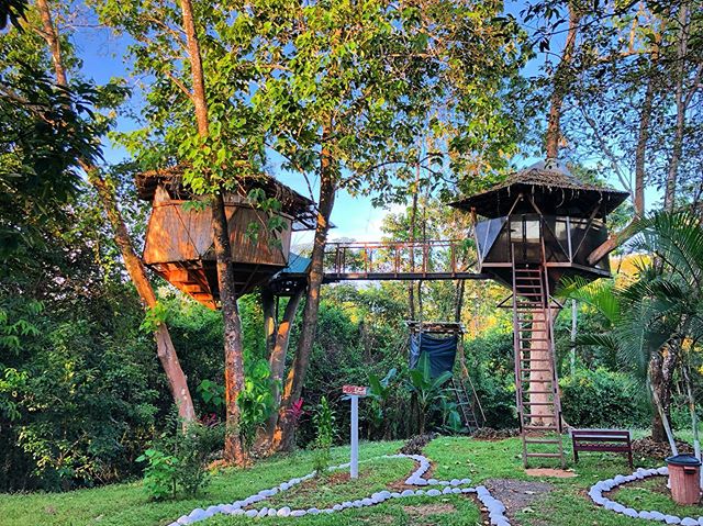 Our tree house in Costa Rica! #costarica #montezuma #travel