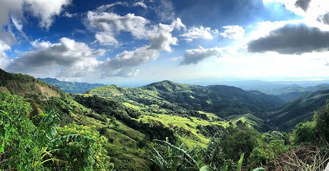 Waaaaaaaaay up there morty #costarica #monteverde #travel
