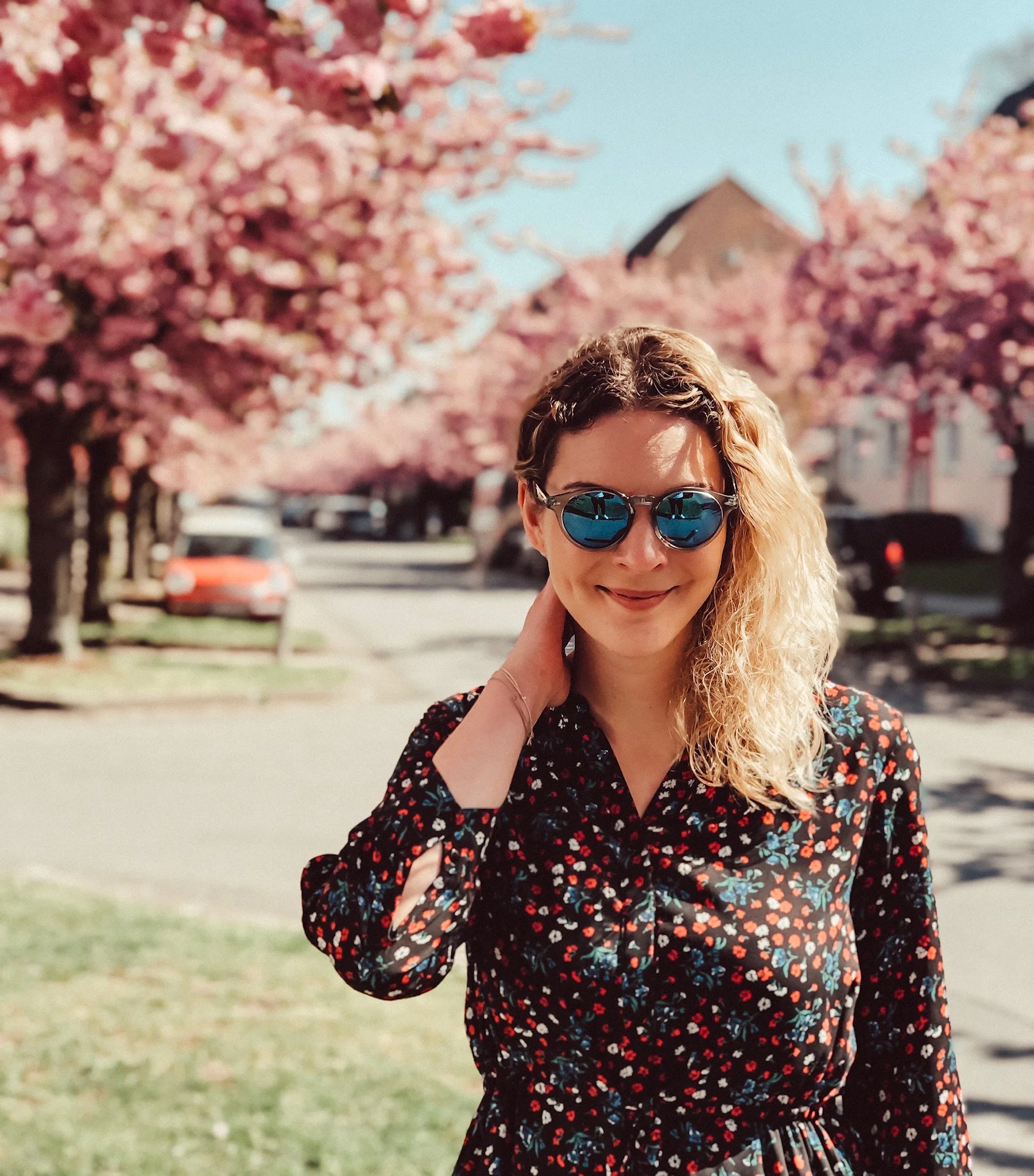 Kirschblüten auf dem Langen Kampe in Bielefeld