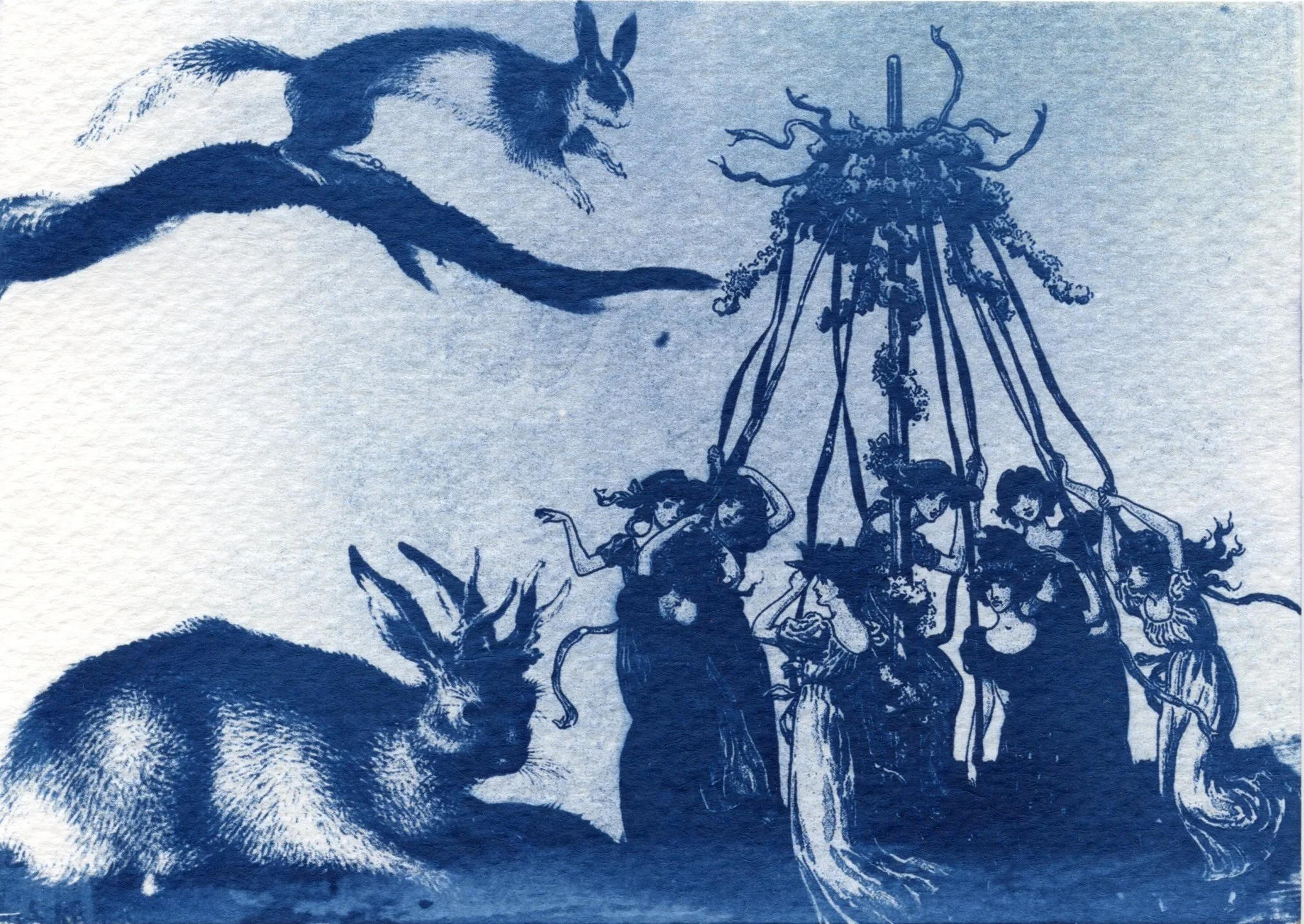 2024-cyanotype-007.jpg