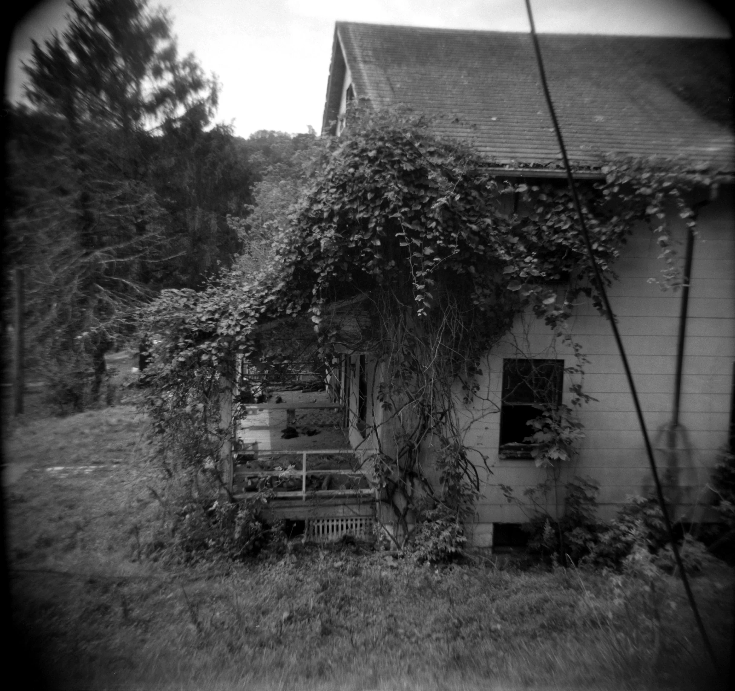 2023-PA-Holga_013.jpg