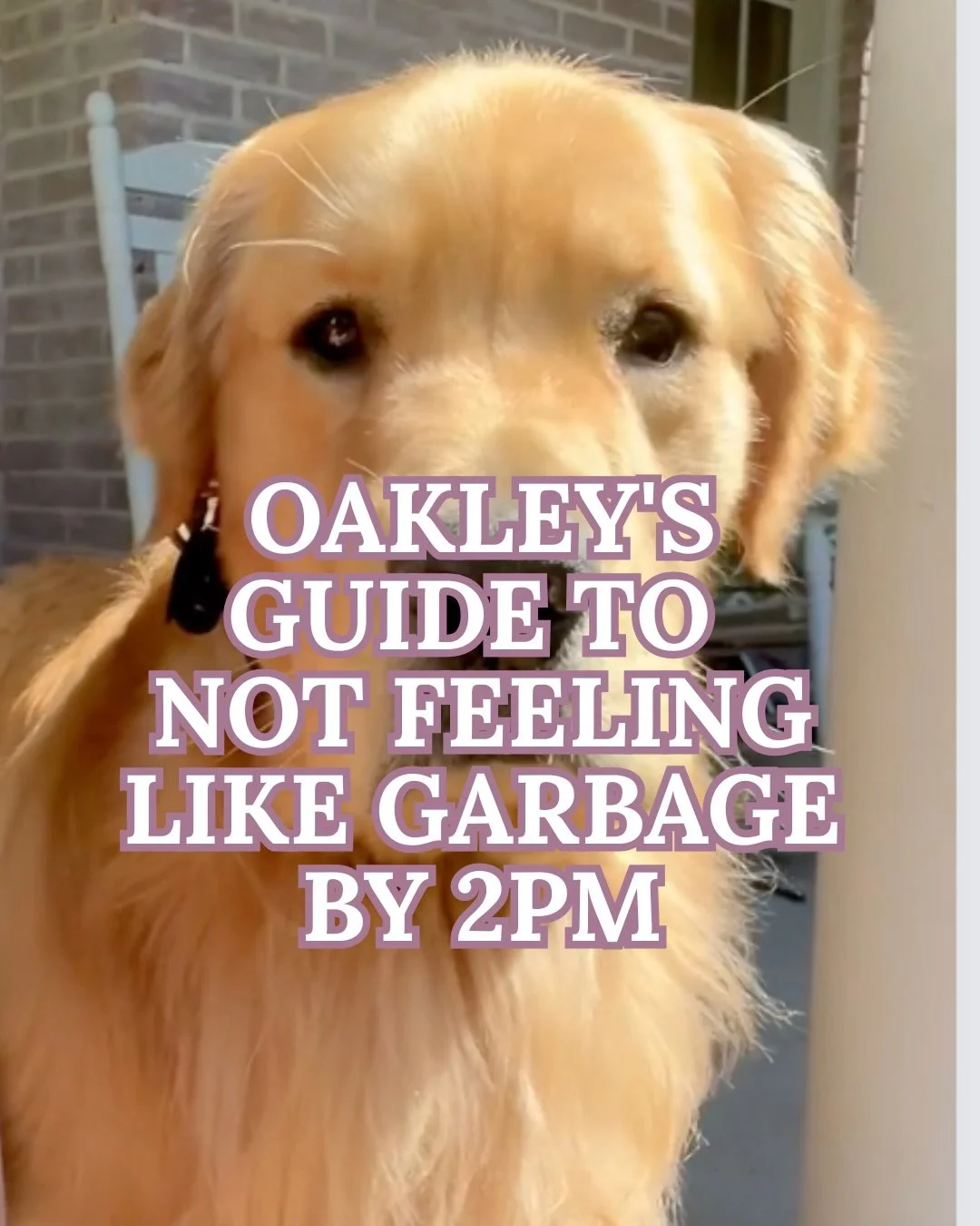 Oakleys at it again with top tier Nutrition Recommendations! What topic should he cover next month?