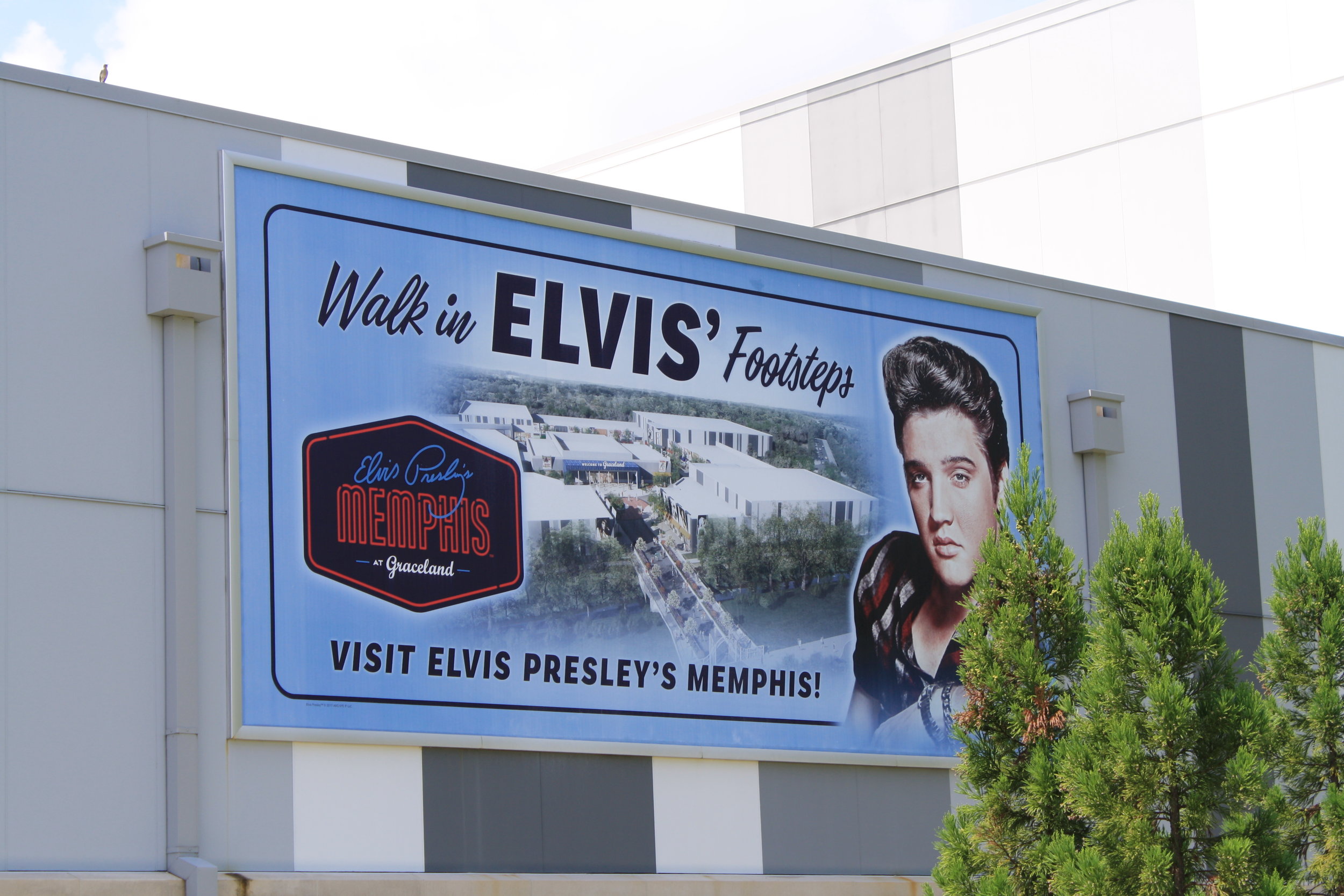 Graceland_Banner_LSIGraphics_Memphis-TN-2 ..