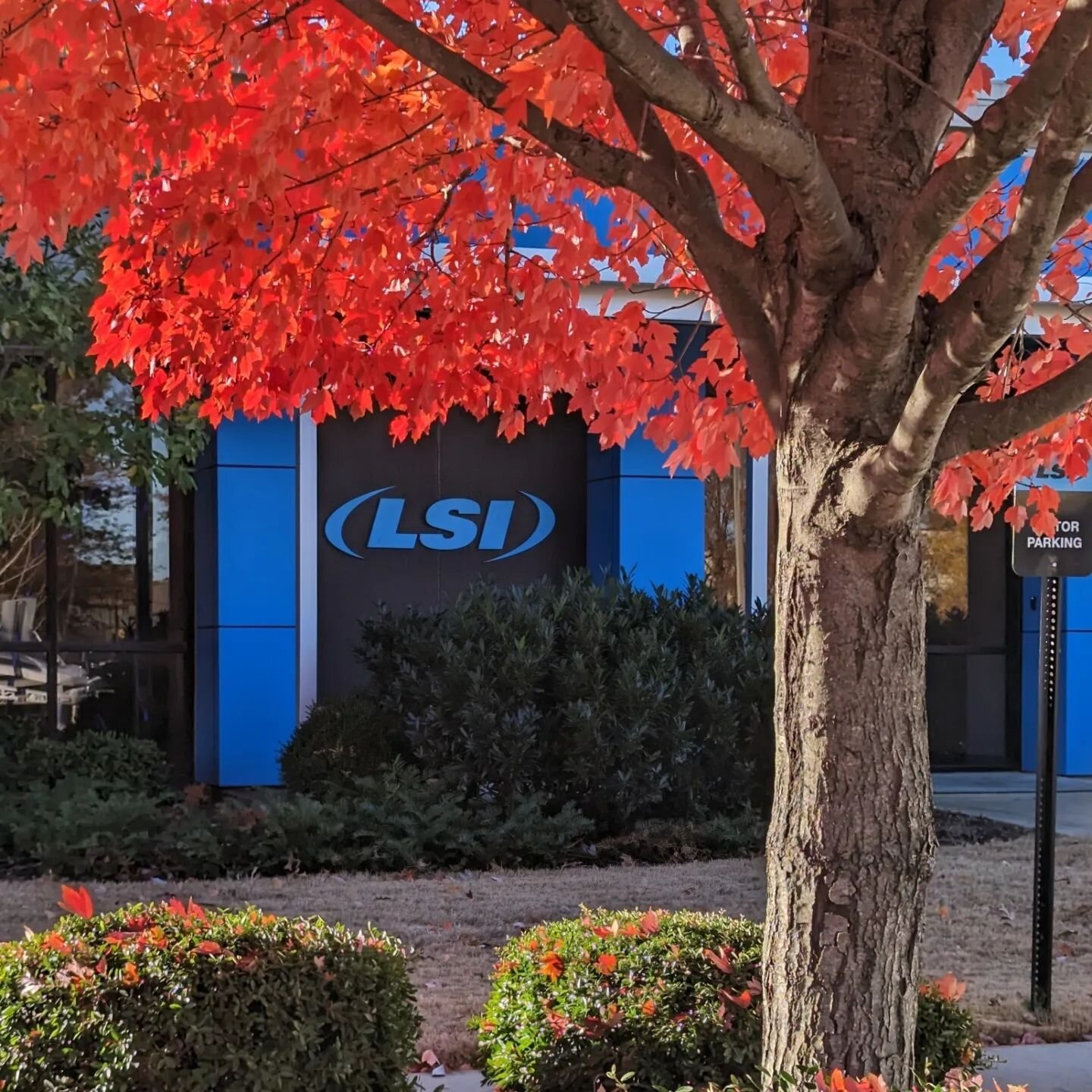 The front of our office is popping with vibrance this fall season as we move into winter in the very near future.

We've never seen so much red on our tree before!

.
.
.

#Fall #ChristmasVibes #LSIGraphics #Memphis #TN