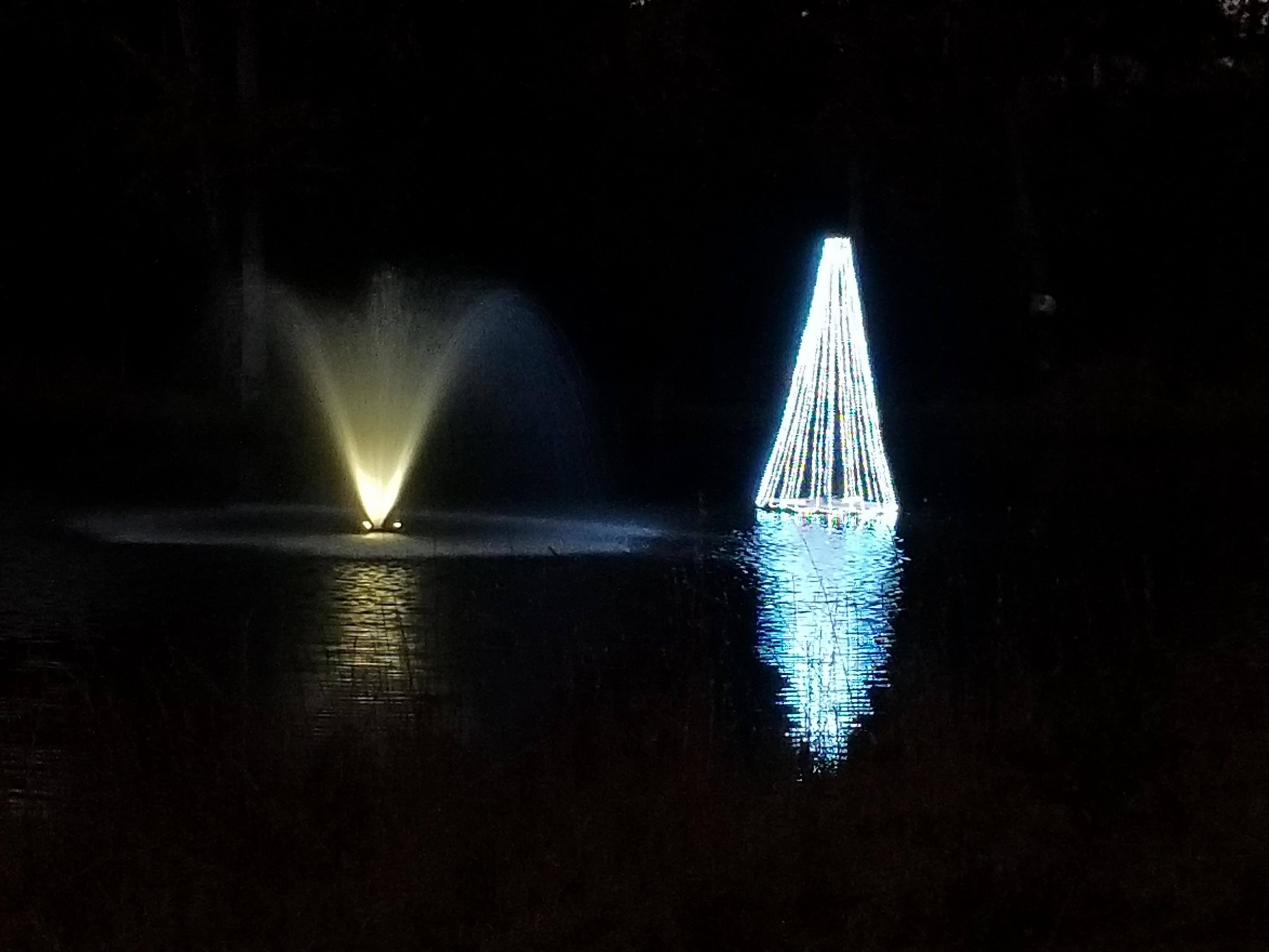 Winter Decorations for your Water Feature — Professional Ponds