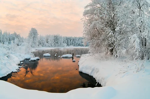 https://nearsay.com/c/433114/216176/what-is-the-best-way-to-handle-pond-maintenance-in-winter