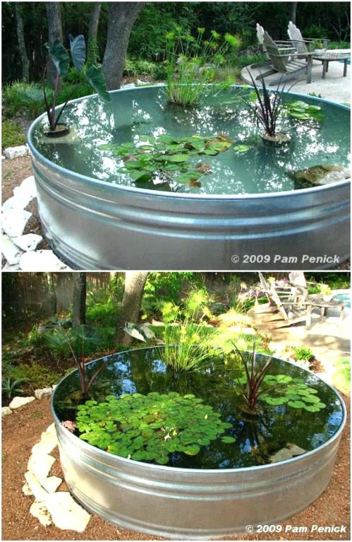 how-to-build-a-garden-pond-charming-garden-pond-ideas-build-small-duck-pond.jpg