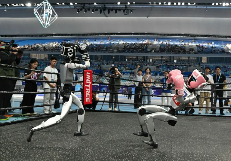 Better to have a robot fail at the kickboxing event than after investing millions for real-world applications.png
