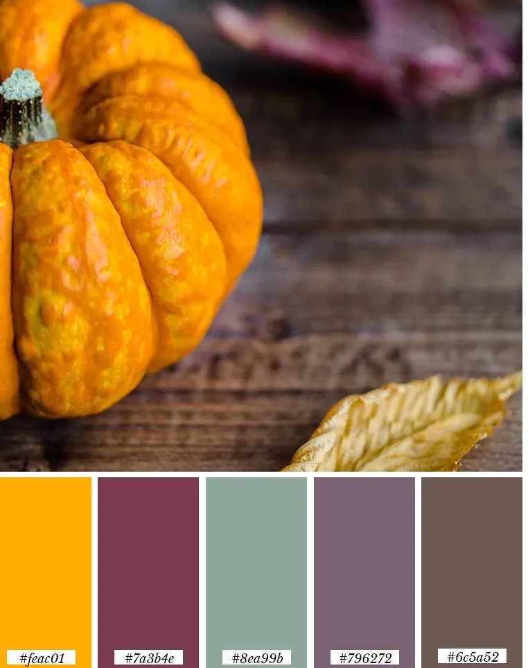 fall-color-pallet-2.jpg copy.jpg