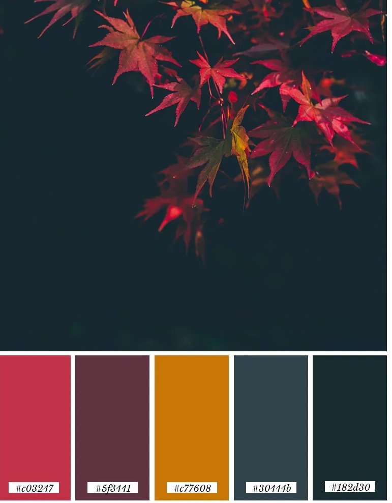 fall-color-pdallet-3.jpg copy.jpg