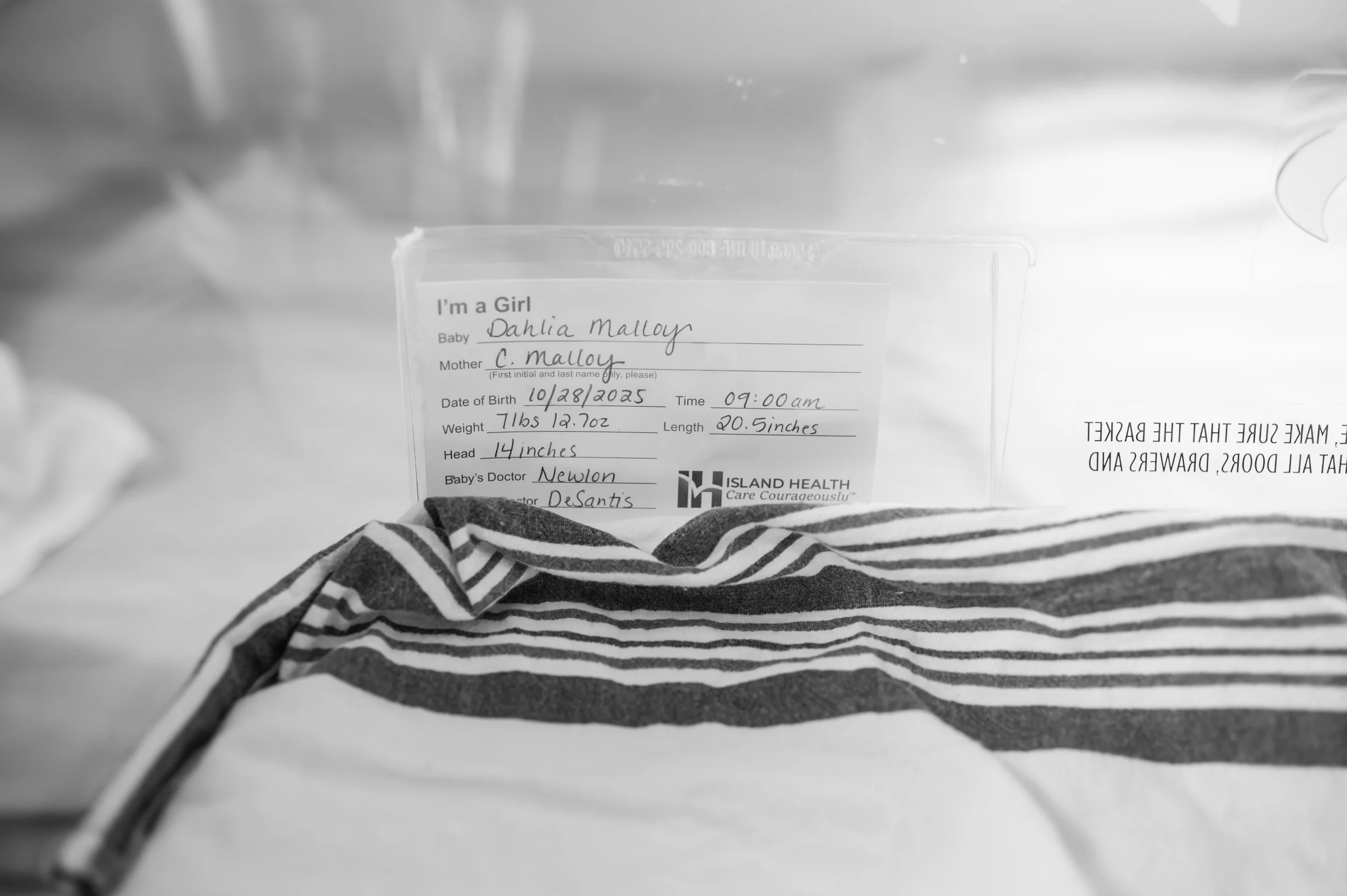 Fresh 48 newborn session at a hospital