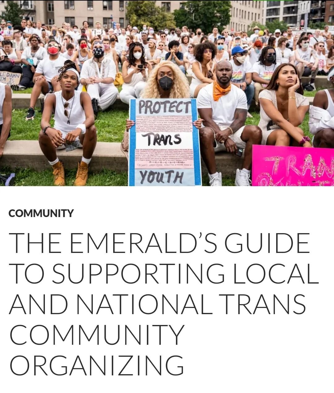 Looking to support Black and POC trans-led organizations fighting for trans rights? 

This guide is for you.

The @southseattleemerald and @lavenderrightsproject teamed up to make a list of trans orgs who need your help right now, as well as groups d