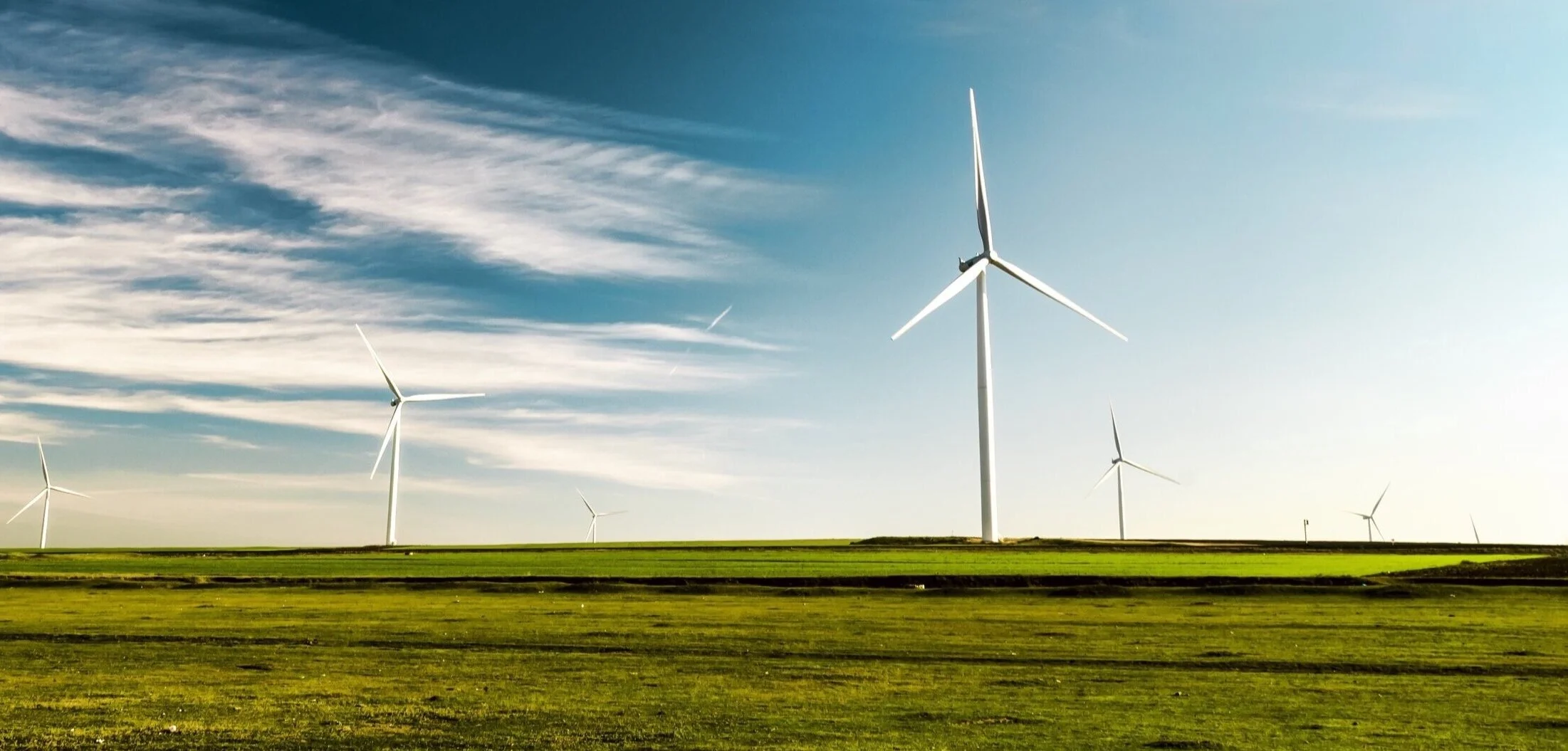 Alpina Capital Sustainability Report 2021