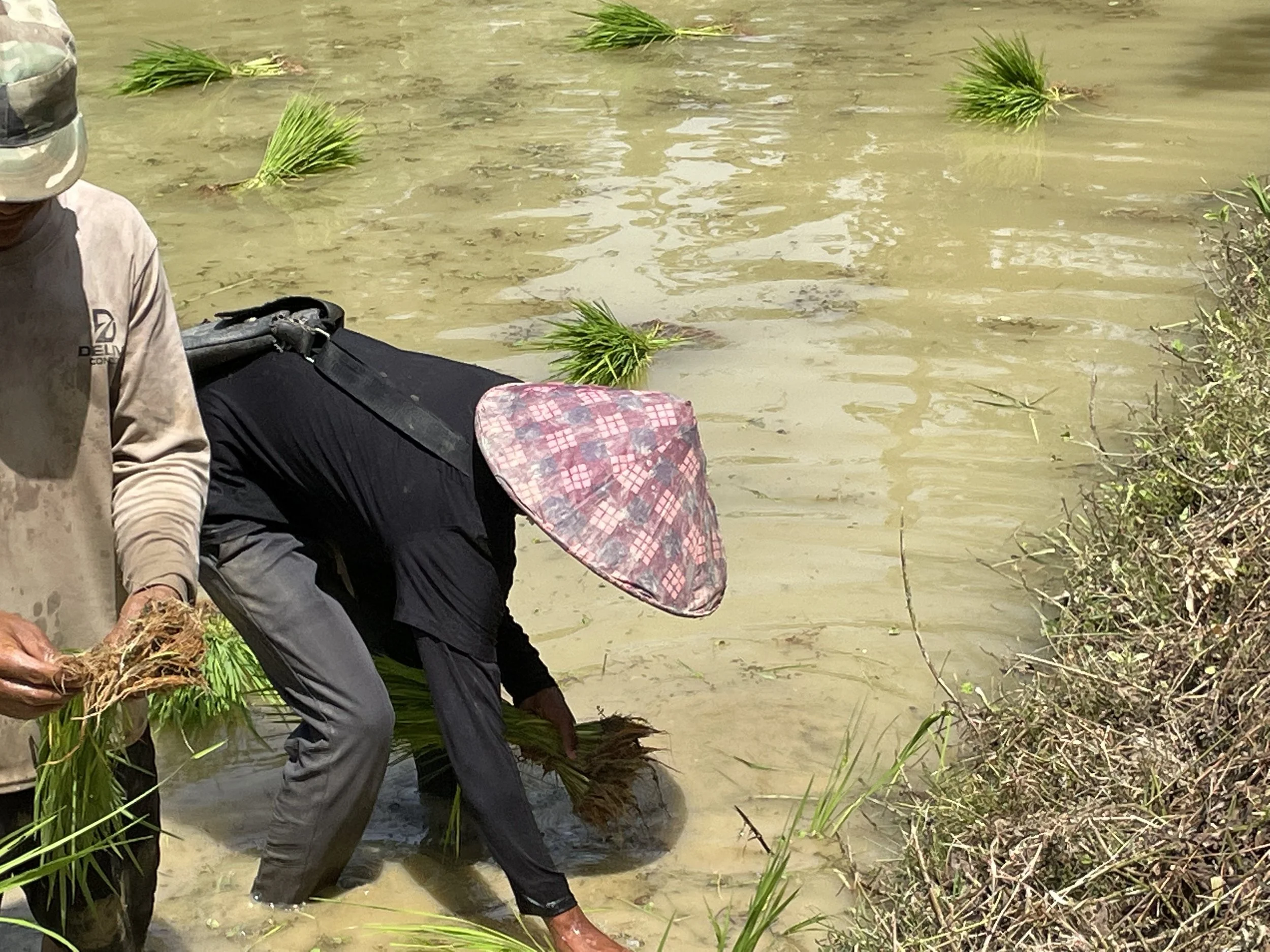 Appreciate the grain