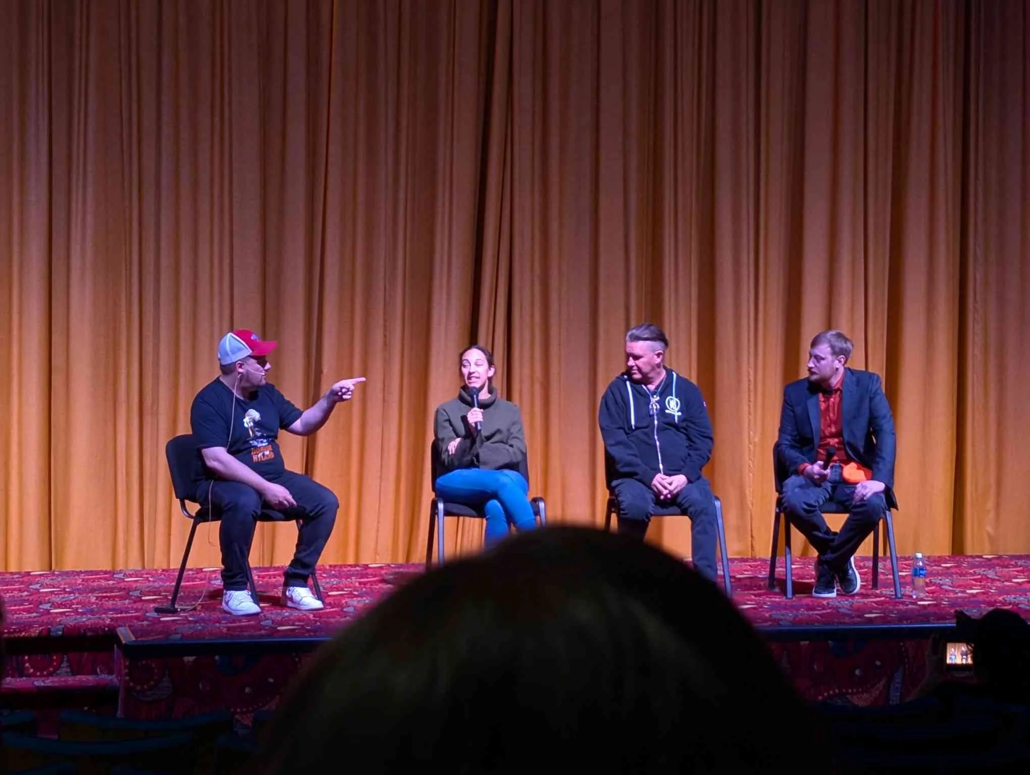 indie film panel hyland cinema lethargia premiere.jpg