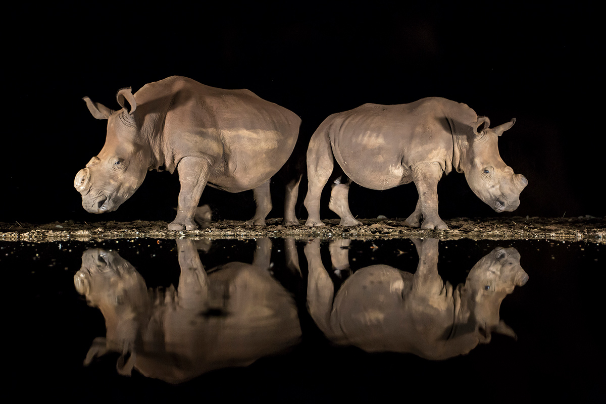 2018 National Geographic Winner: Alison Langevad