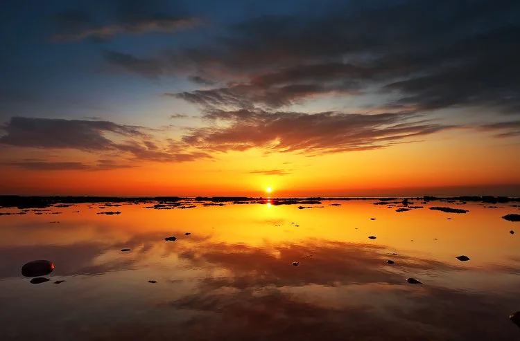 7 Steps to Developing and Sharing a Vision for Your Team