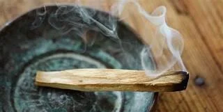 palo_santo.jpeg