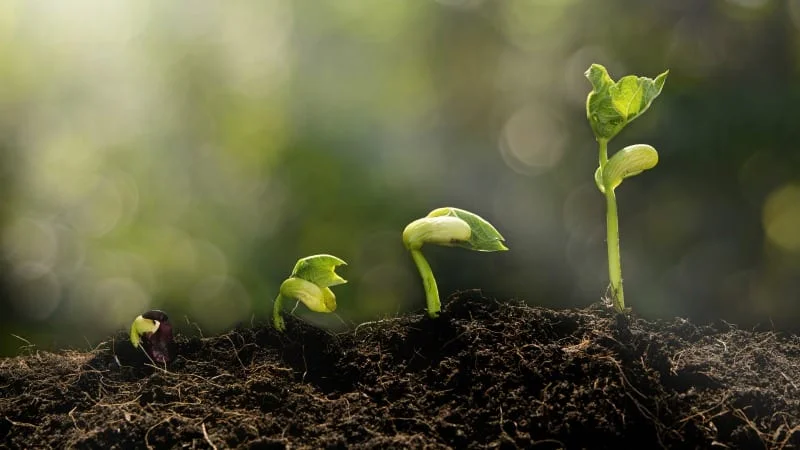 Growth and self-love.