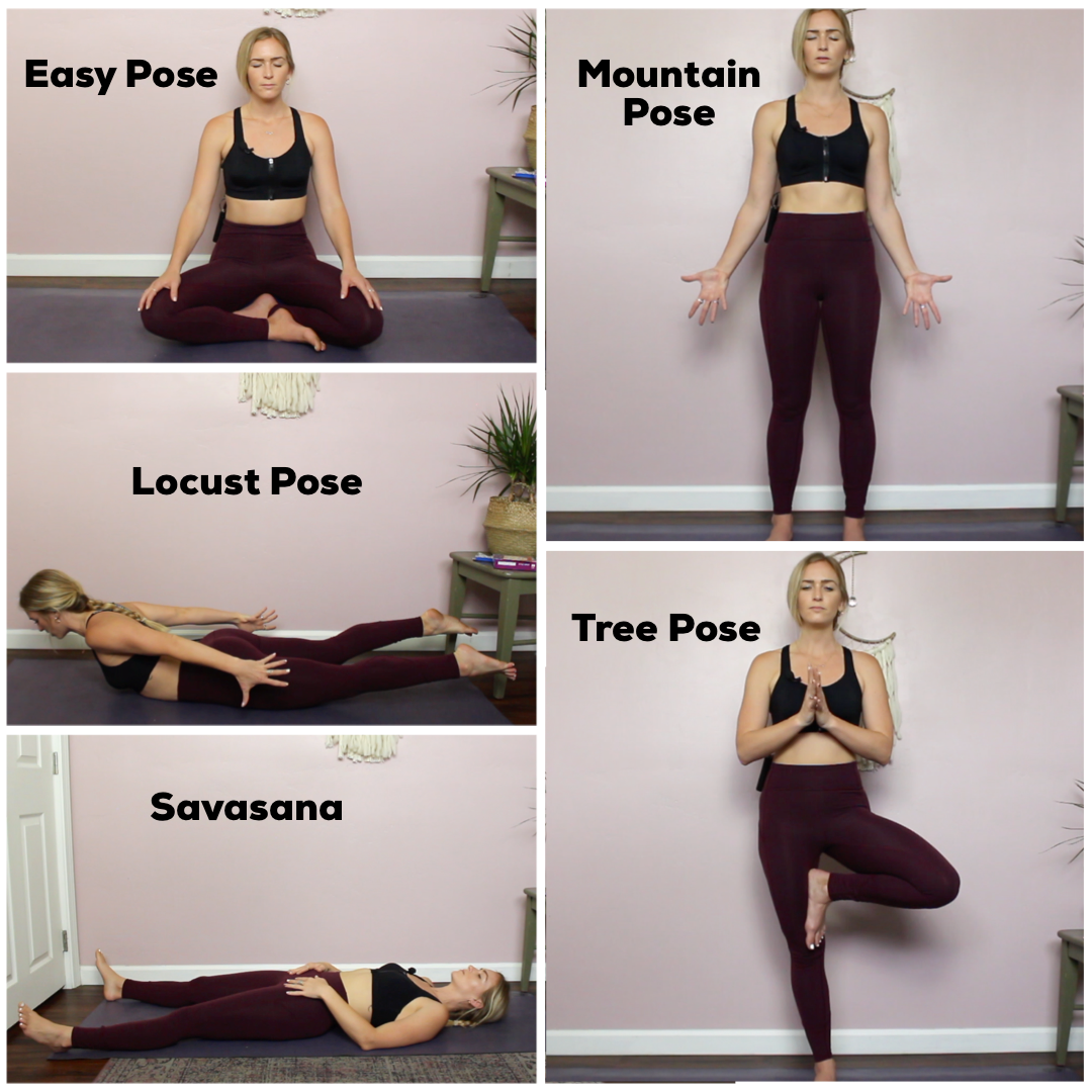 40 Yoga Poses To Balance Your Root Chakra + Decrease Fear & Anxiety 40 Yoga Poses To Balance Your Root Chakra + Decrease Fear & Anxiety