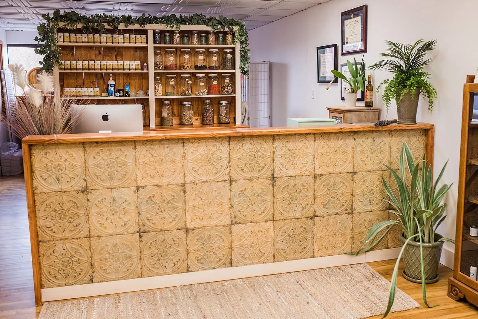 Fort Collins Acupuncture & Gua Sha Balanced Thistle