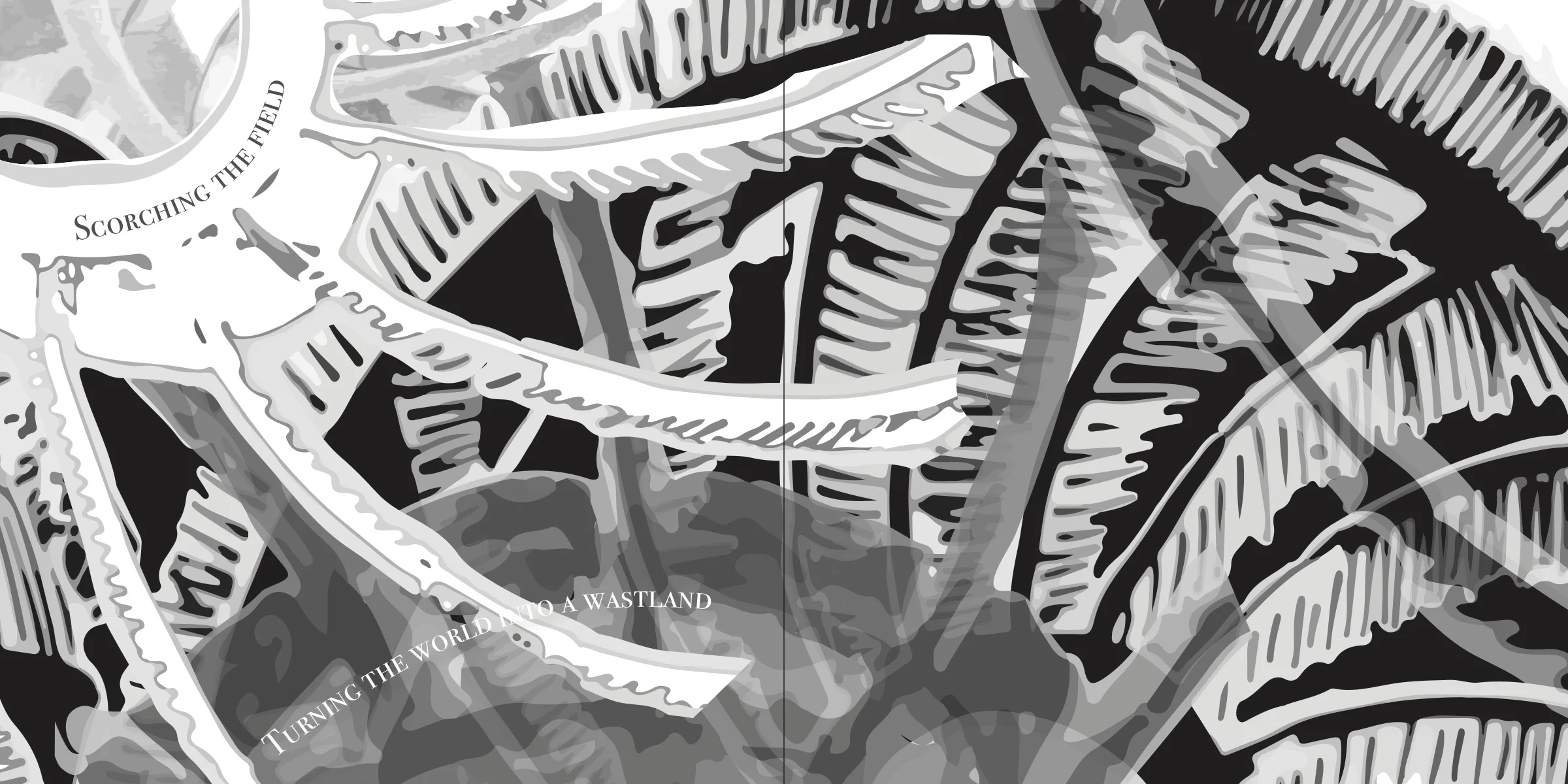 Accordian book final 1.jpg