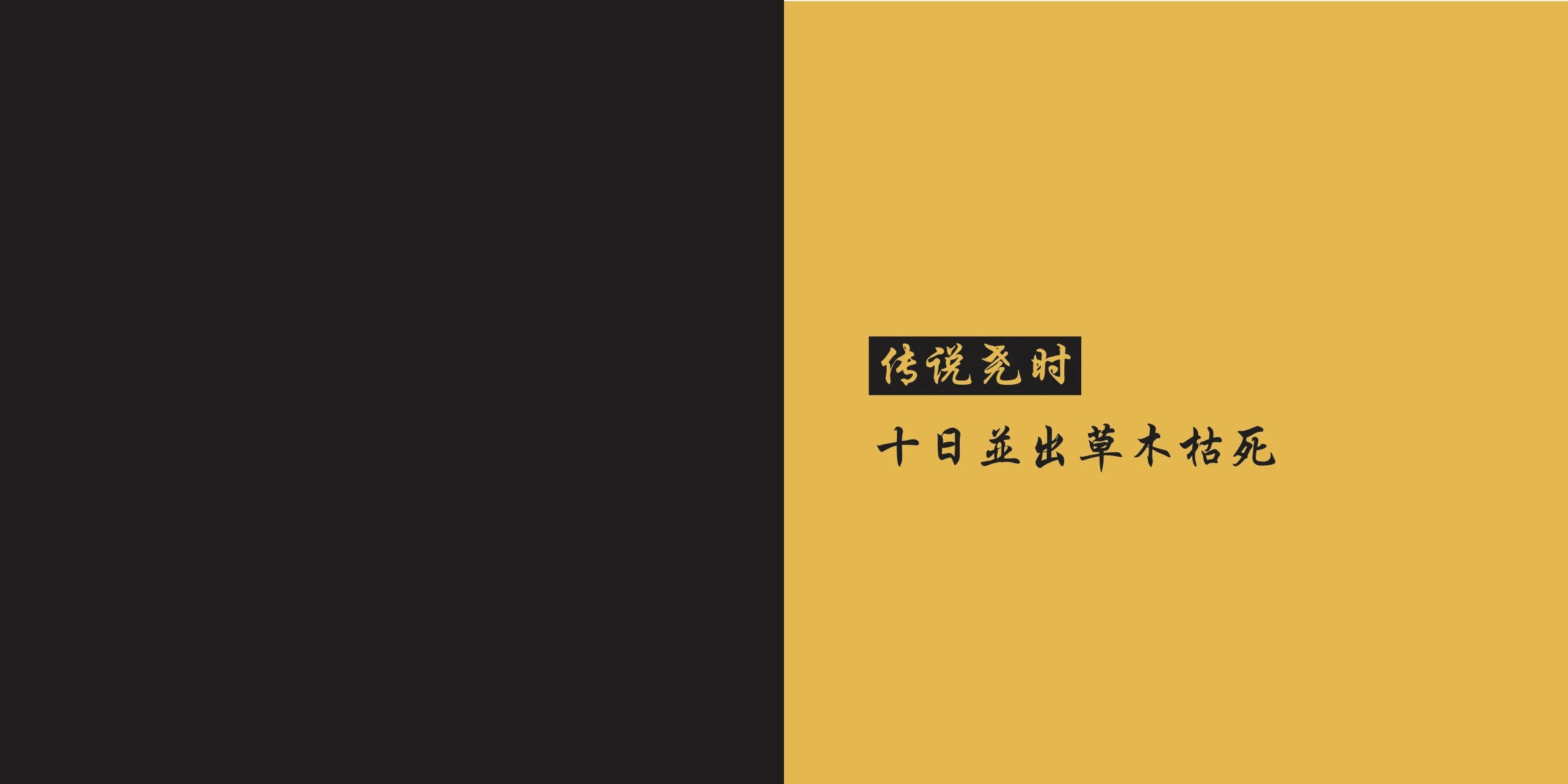 Accordian book final web 6.jpg