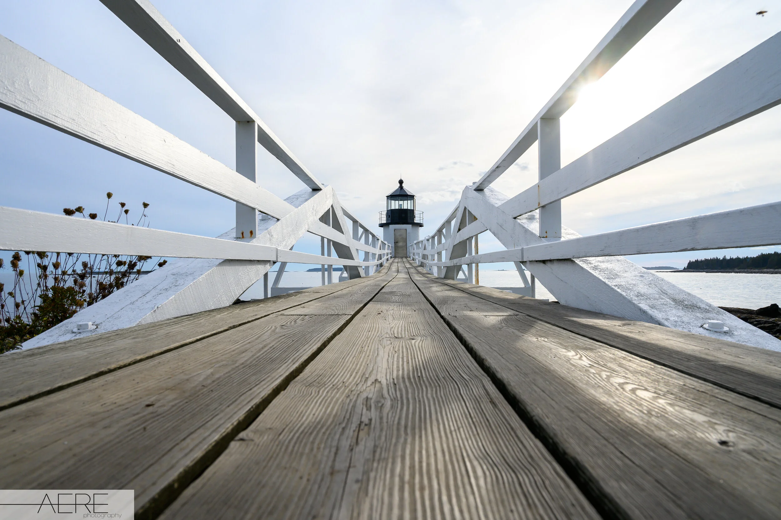 DSC_5169.jpg