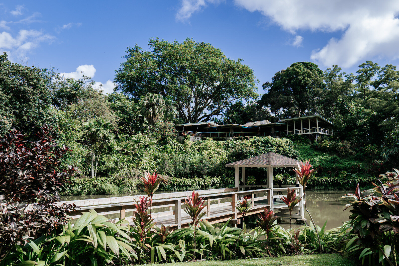 Haiku Gardens Oahu Wedding Venues