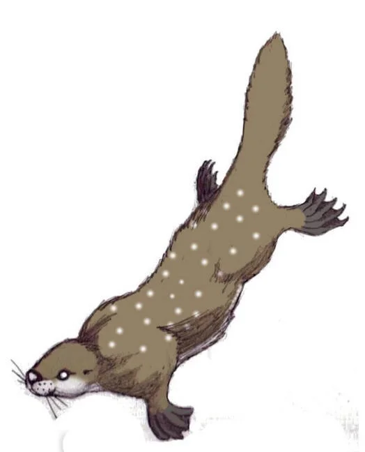 waitoreke.jpg