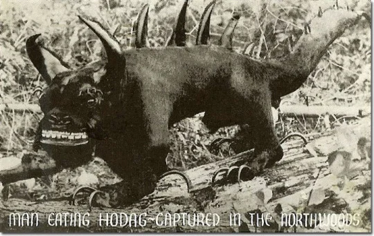 hodag.jpg