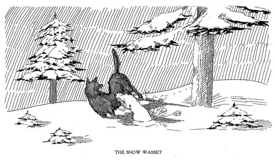 FC- snow wasset.jpg
