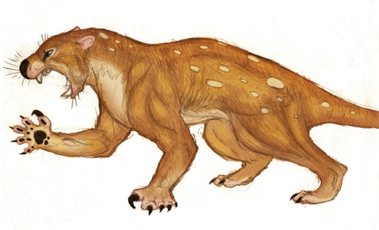 marsupial lion.png