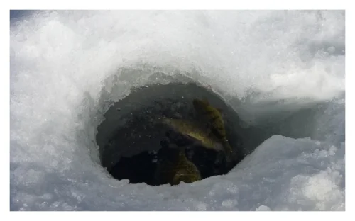 Ice-Fishing-Hole.jpg