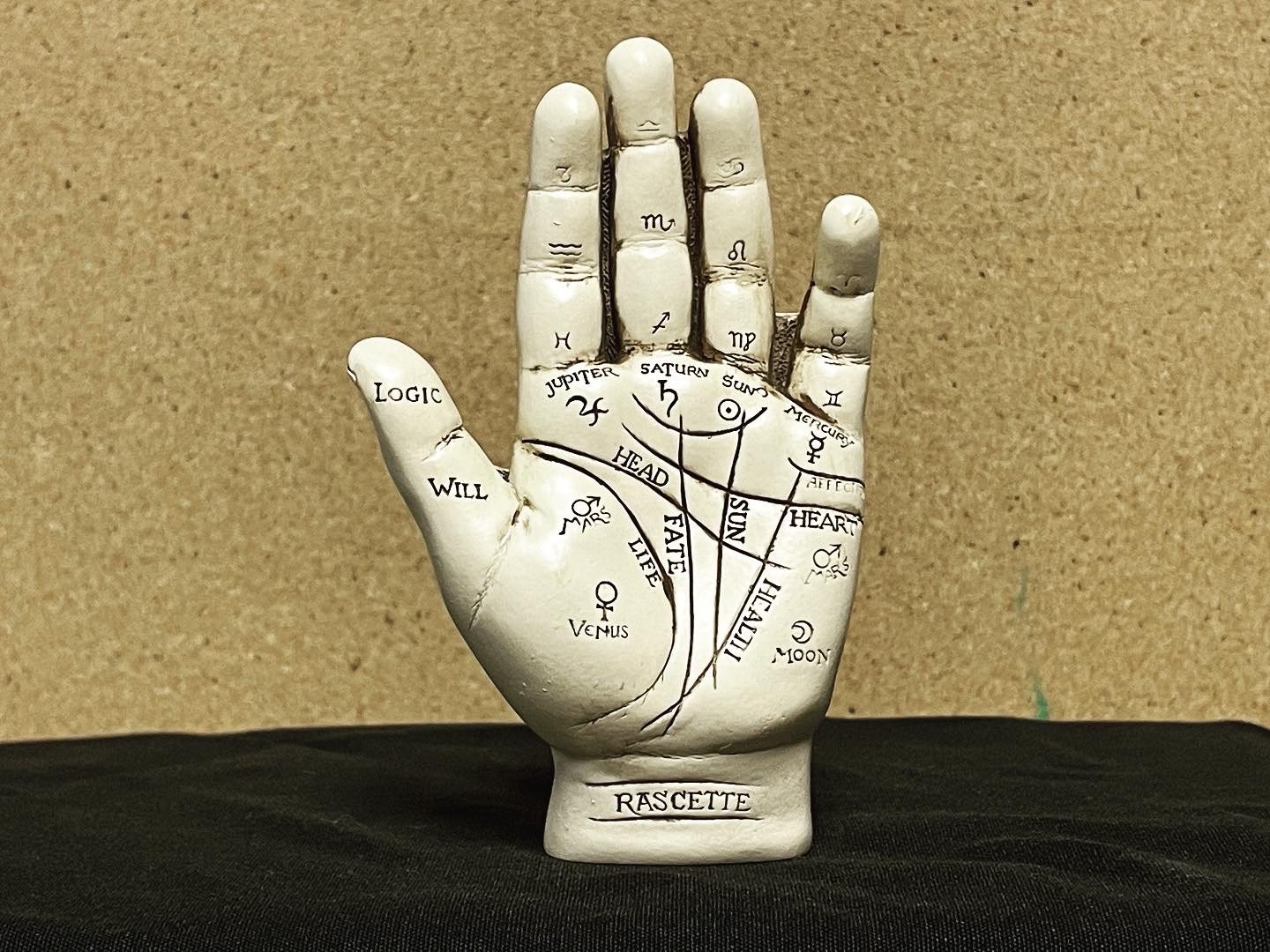 Palmistry Hand