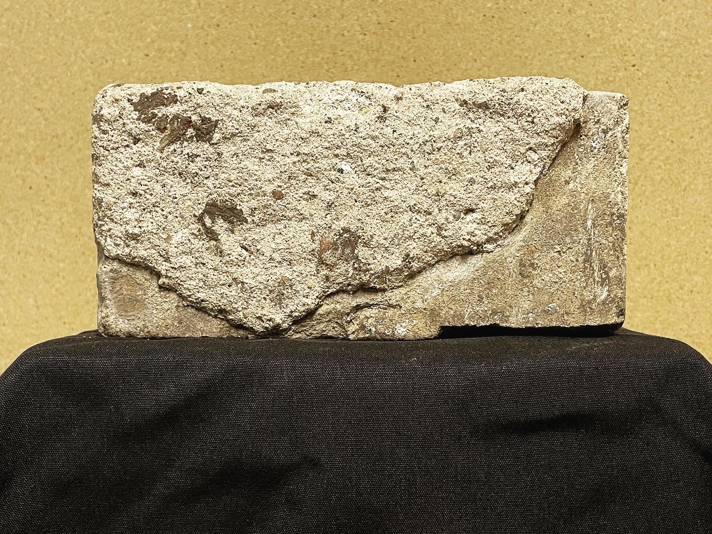 Brick From The Original House Built On The Site Of The First Murder In Janesville, WI (aka: Andrew Alger 1855 Murder Site)